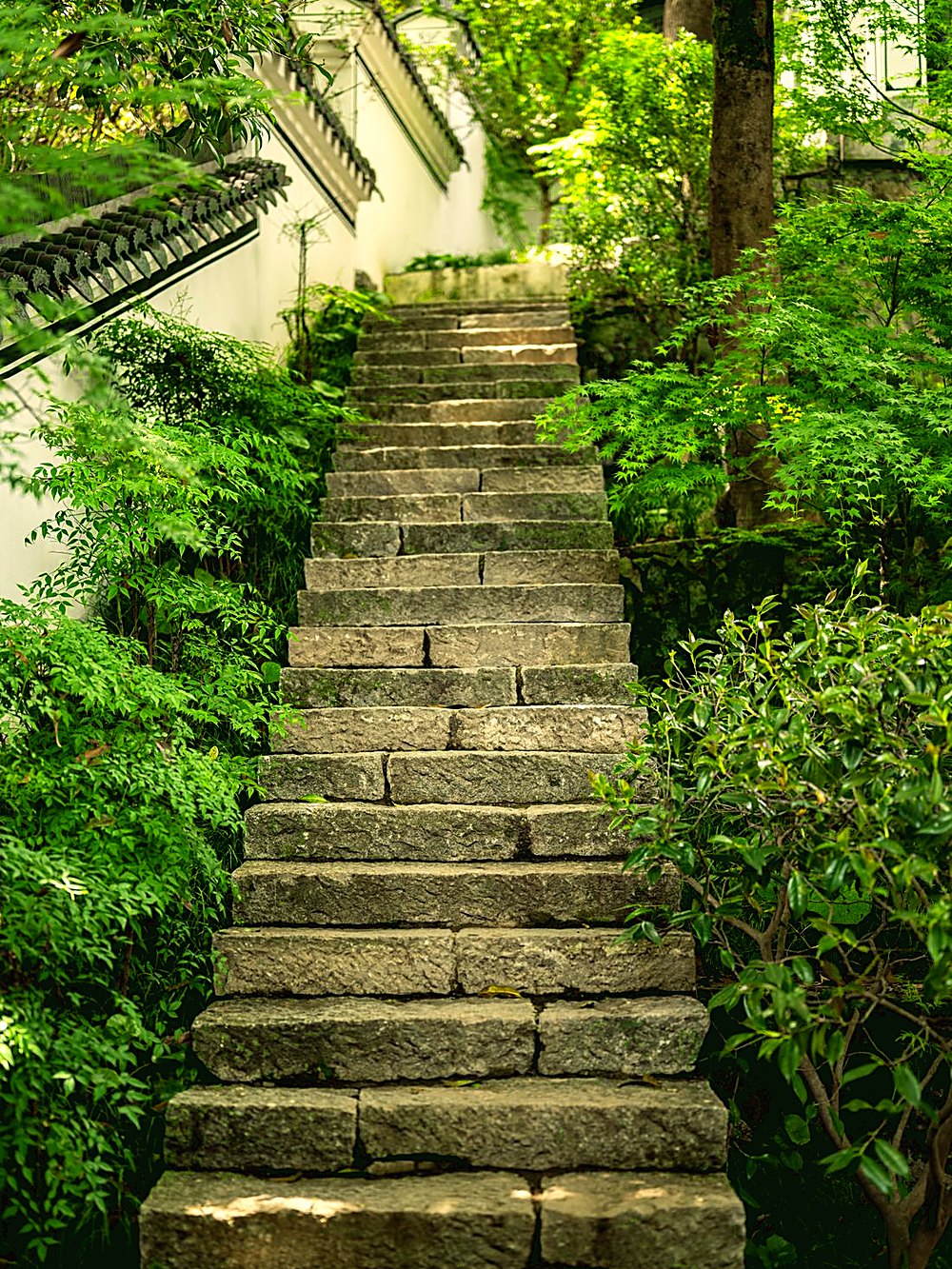 Escalier en pierre dans un jardin verdoyant